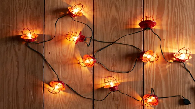 camp ann caged lantern string lights