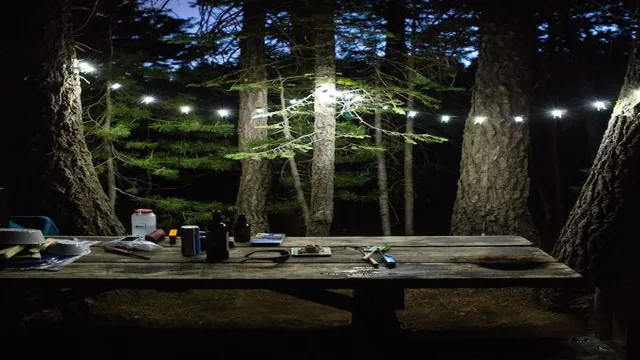 fun camping string lights