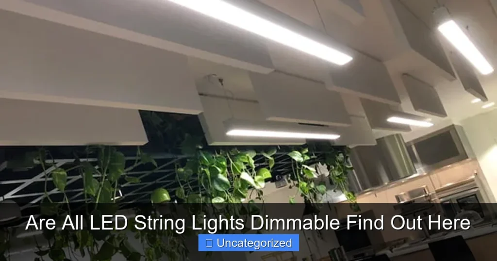 Are All LED String Lights Dimmable Find Out Here