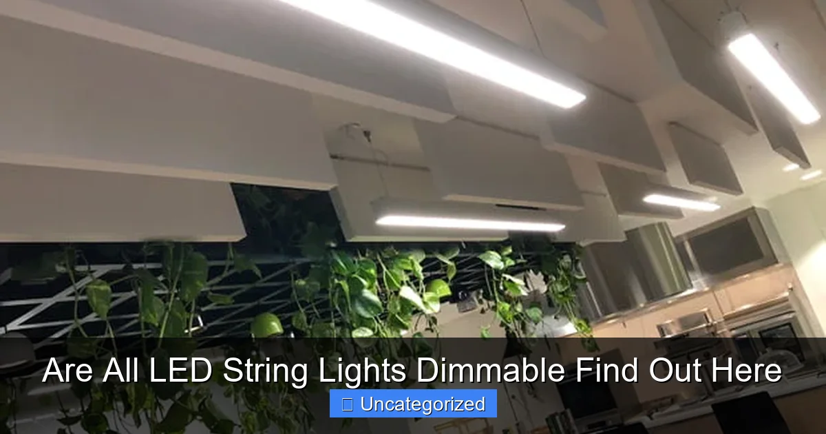 Are All LED String Lights Dimmable Find Out Here