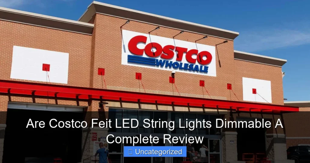 Are Costco Feit LED String Lights Dimmable A Complete Review