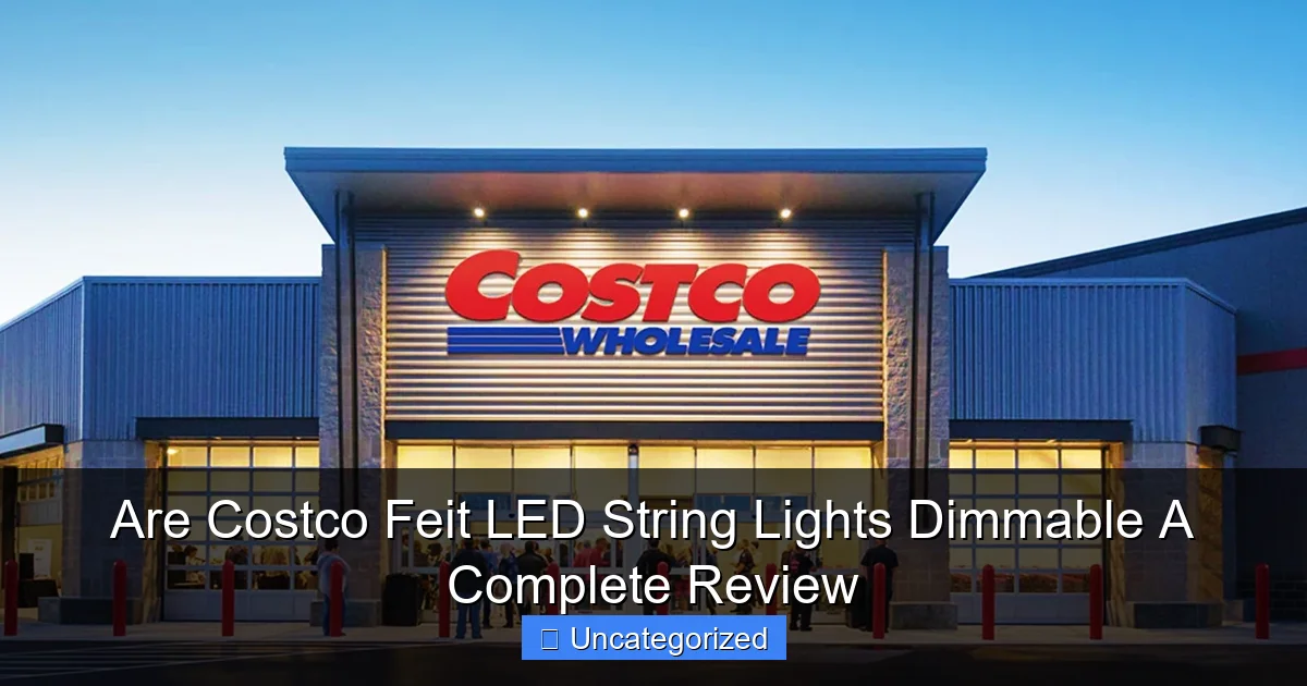 Are Costco Feit LED String Lights Dimmable A Complete Review