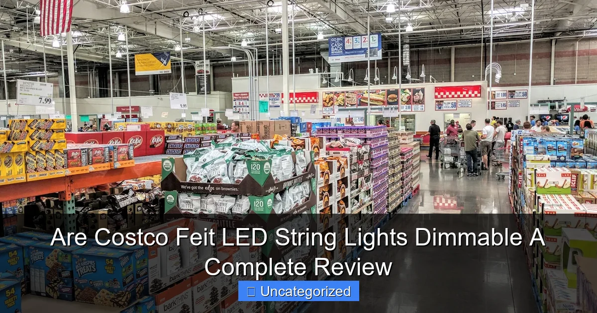 Are Costco Feit LED String Lights Dimmable A Complete Review