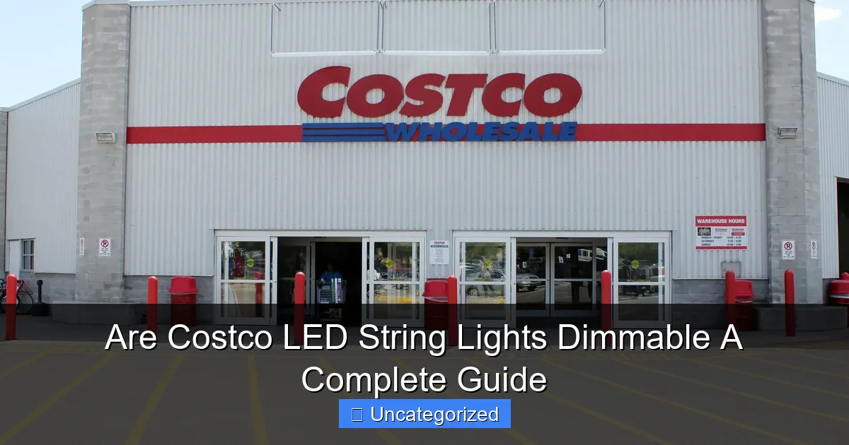 Are Costco LED String Lights Dimmable A Complete Guide