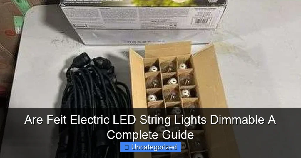 Are Feit Electric LED String Lights Dimmable A Complete Guide