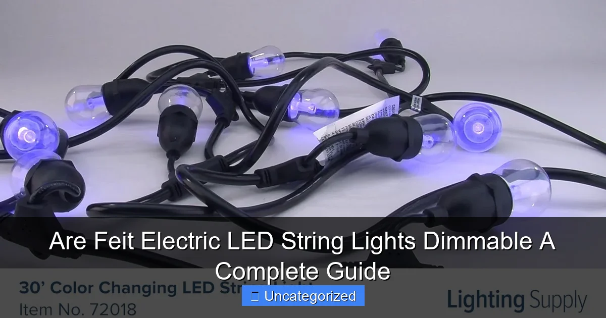 Are Feit Electric LED String Lights Dimmable A Complete Guide