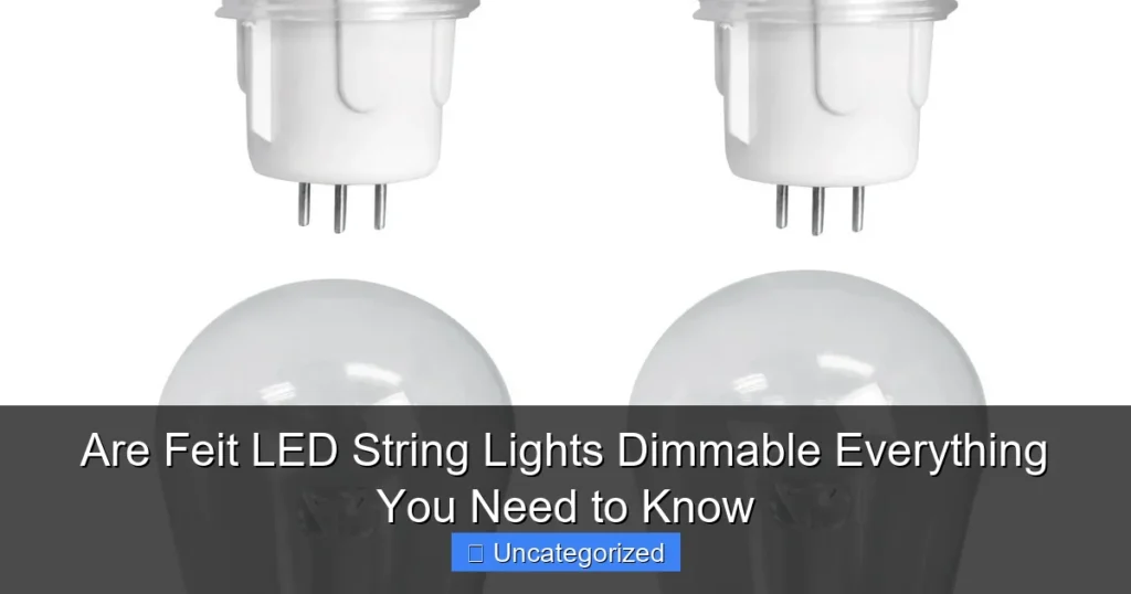 Are Feit LED String Lights Dimmable Everything You Need to Know