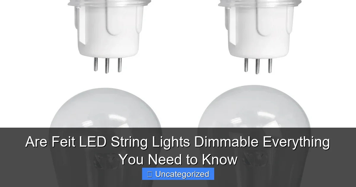 Are Feit LED String Lights Dimmable Everything You Need to Know