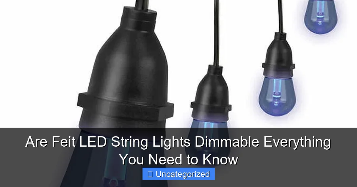 Are Feit LED String Lights Dimmable Everything You Need to Know