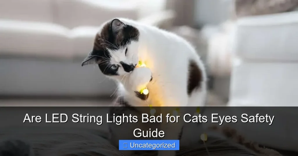 Are LED String Lights Bad for Cats Eyes Safety Guide