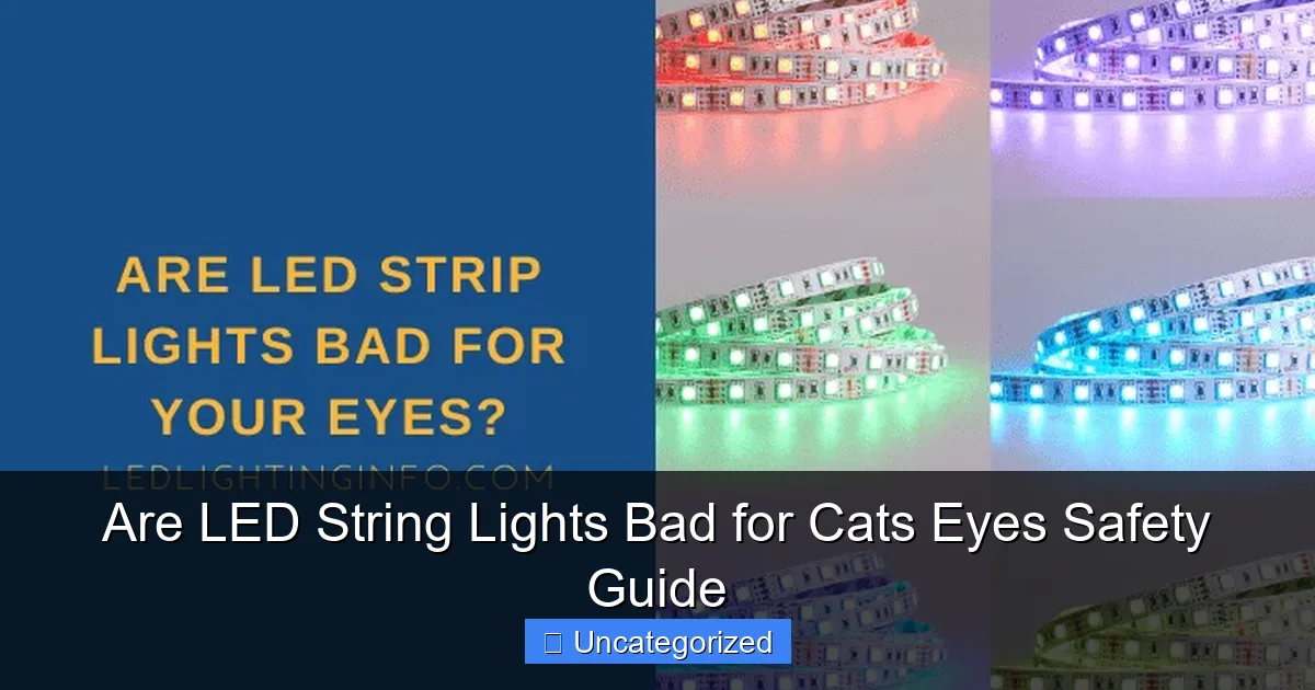 Are LED String Lights Bad for Cats Eyes Safety Guide