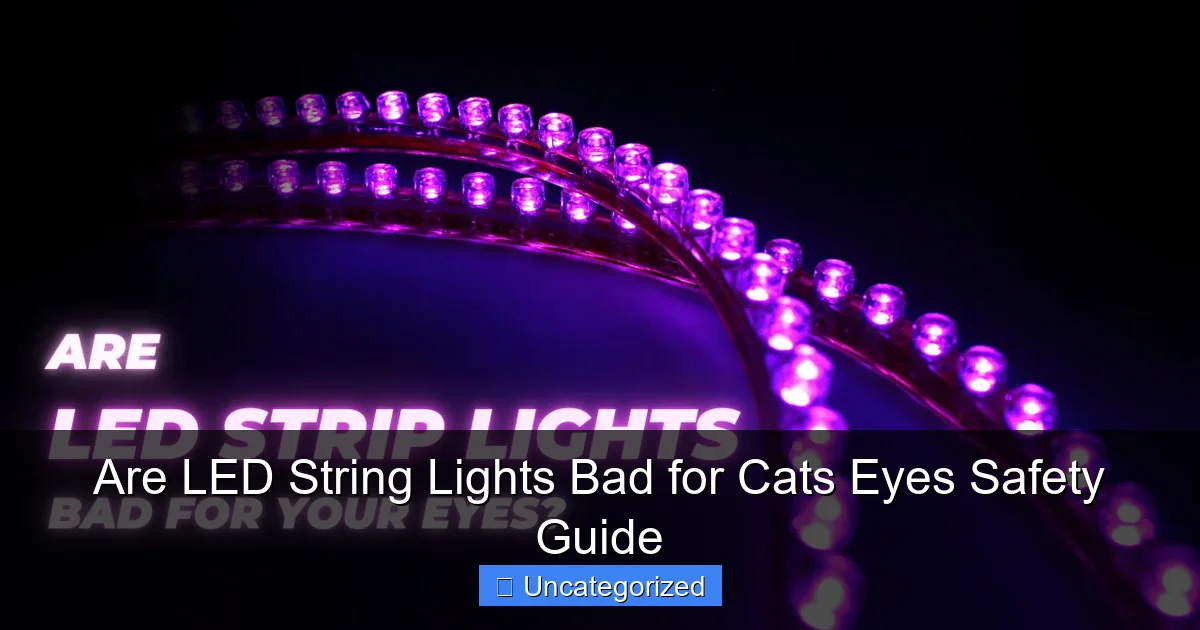 Are LED String Lights Bad for Cats Eyes Safety Guide