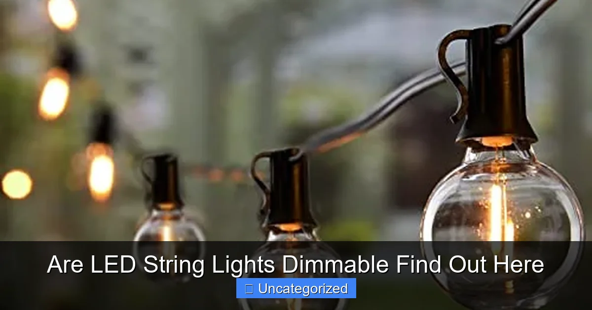 Are LED String Lights Dimmable Find Out Here