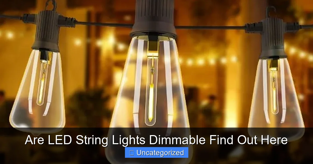 Are LED String Lights Dimmable Find Out Here
