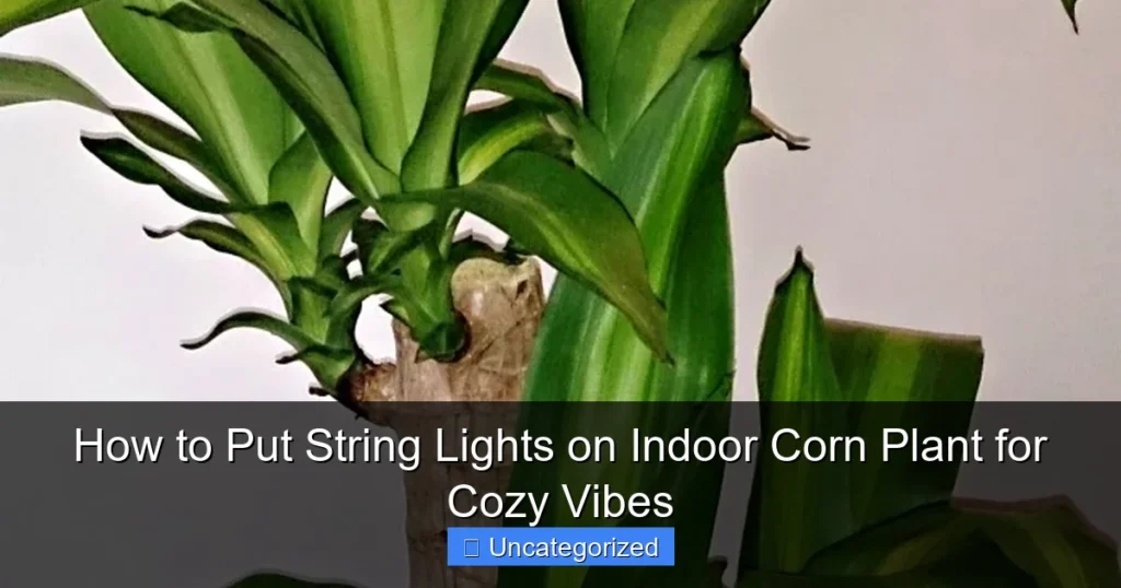 How to Put String Lights on Indoor Corn Plant for Cozy Vibes