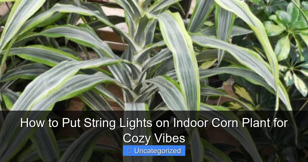 How to Put String Lights on Indoor Corn Plant for Cozy Vibes