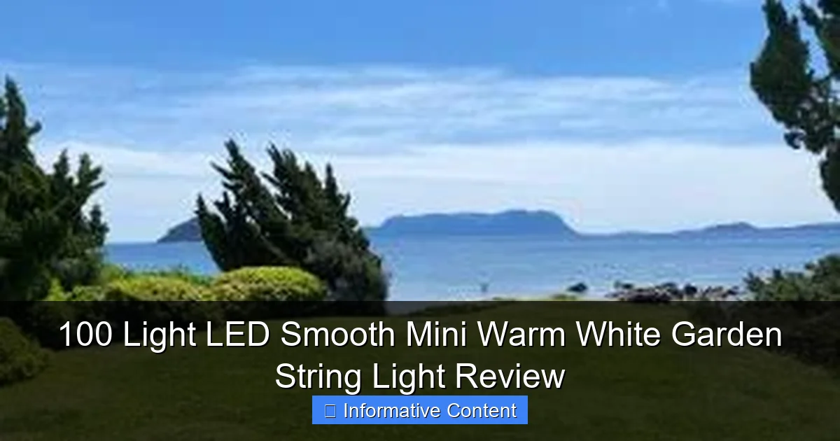 100 Light LED Smooth Mini Warm White Garden String Light Review