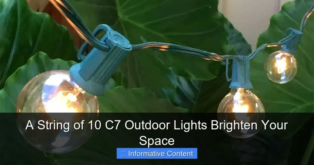 A String of 10 C7 Outdoor Lights Brighten Your Space