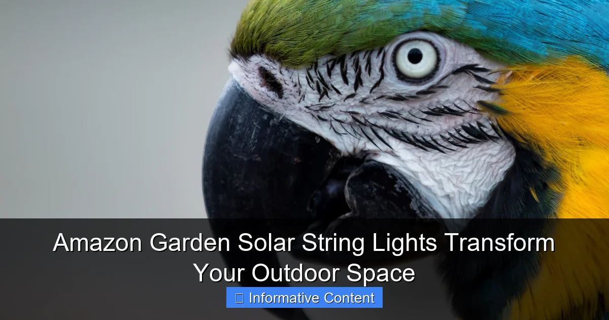 Amazon Garden Solar String Lights Transform Your Outdoor Space