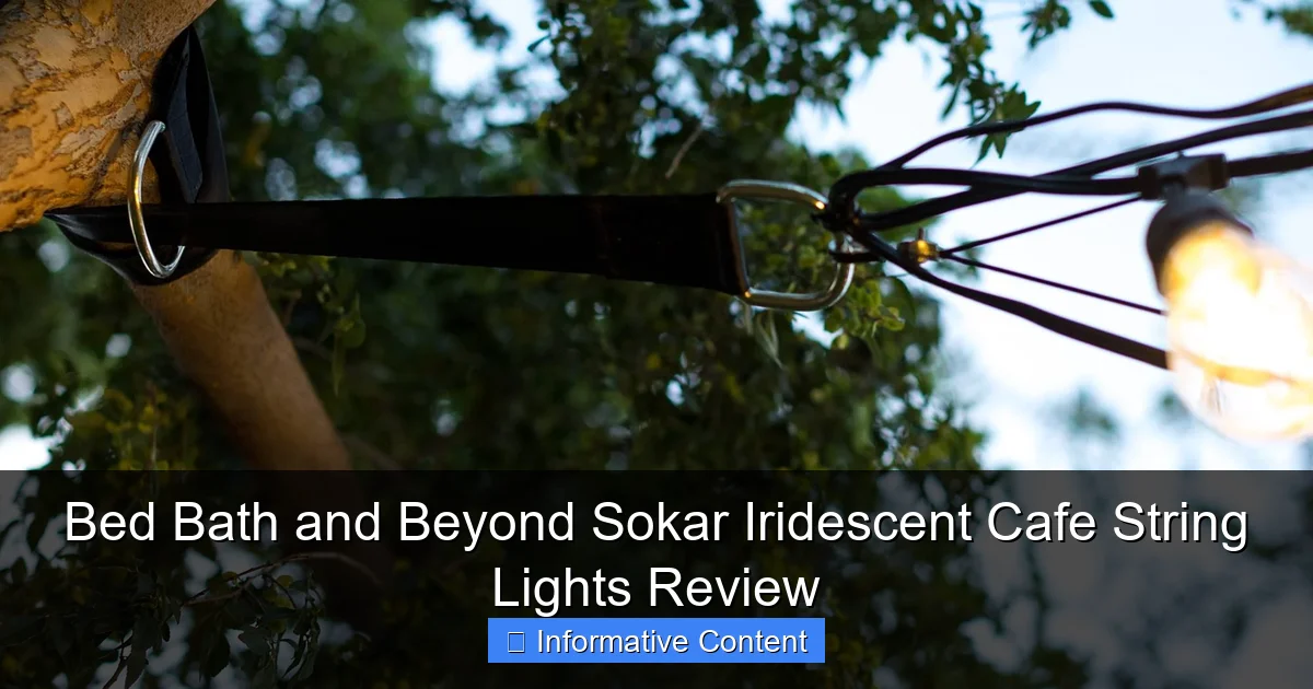 Bed Bath and Beyond Sokar Iridescent Cafe String Lights Review
