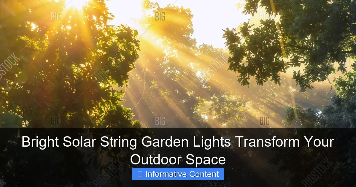 Bright Solar String Garden Lights Transform Your Outdoor Space