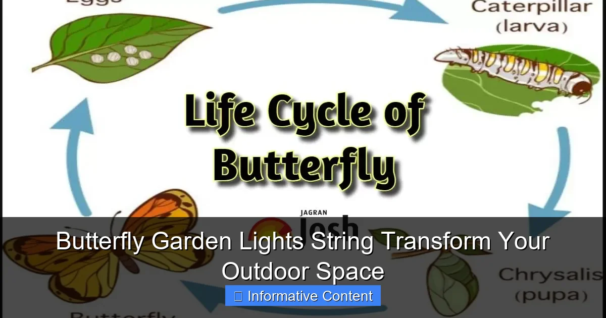 Butterfly Garden Lights String Transform Your Outdoor Space