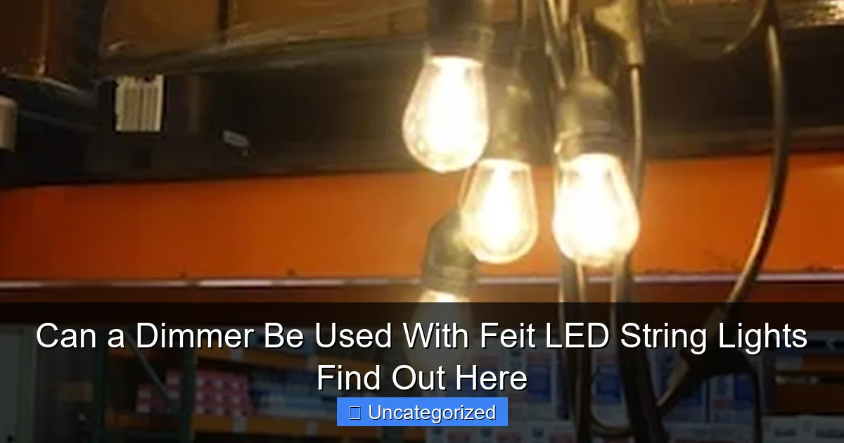 Can a Dimmer Be Used With Feit LED String Lights Find Out Here