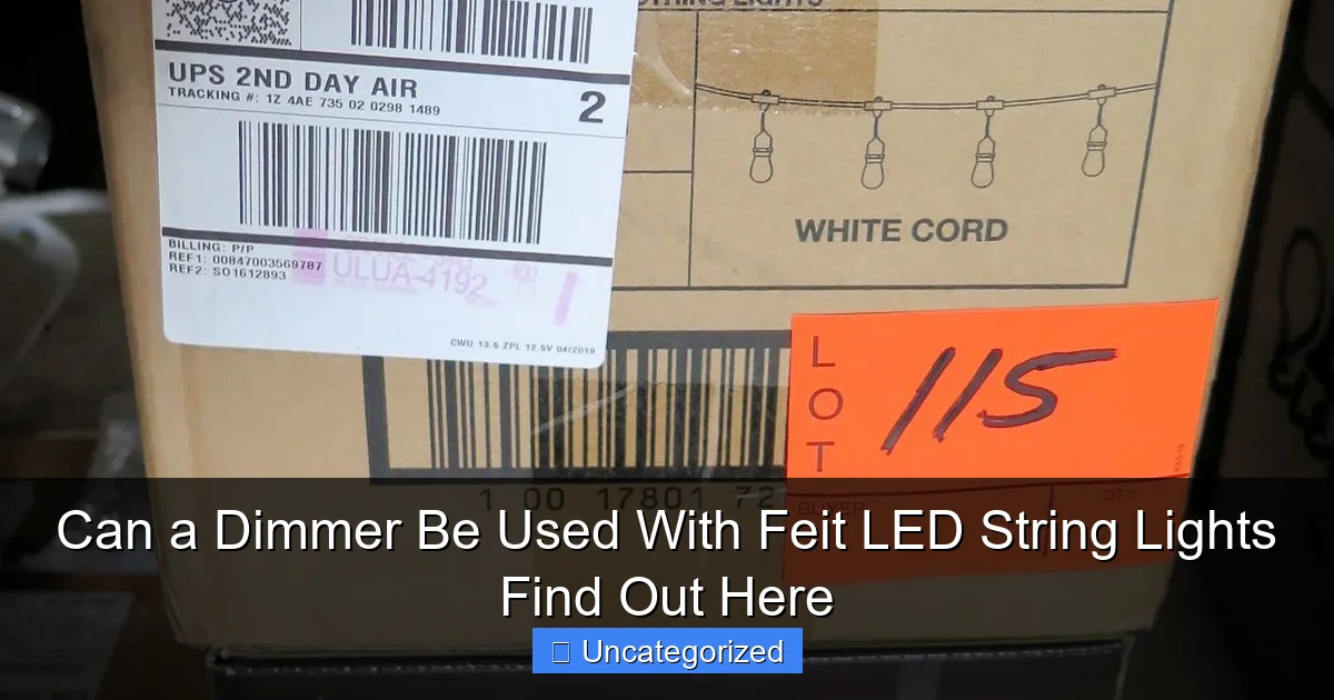 Can a Dimmer Be Used With Feit LED String Lights Find Out Here
