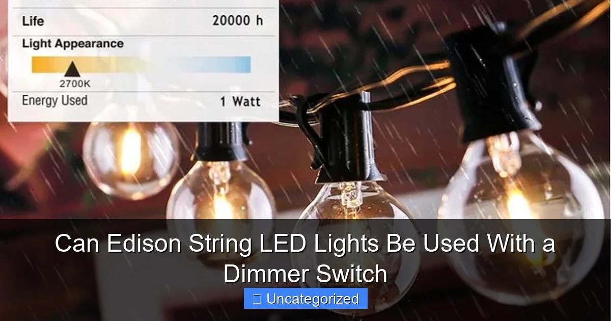 Can Edison String LED Lights Be Used With a Dimmer Switch
