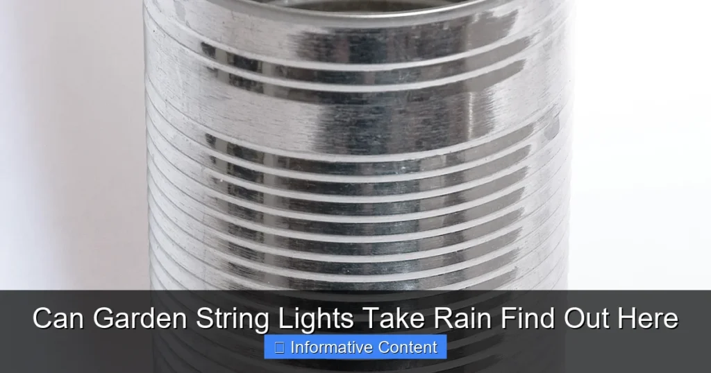 Can Garden String Lights Take Rain Find Out Here