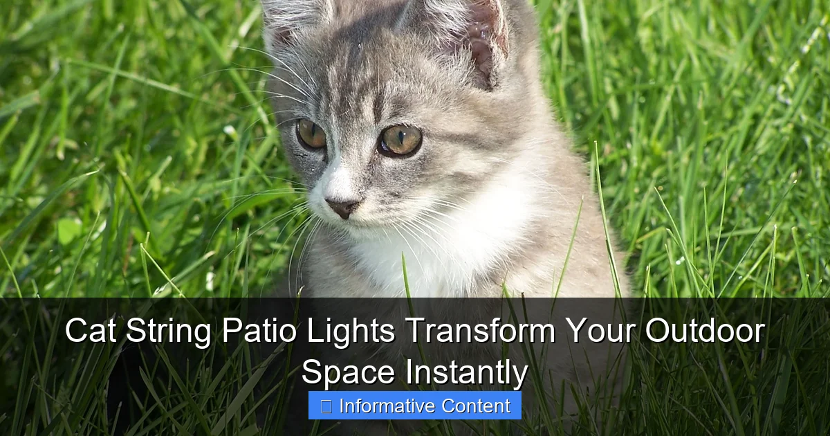 Cat String Patio Lights Transform Your Outdoor Space Instantly