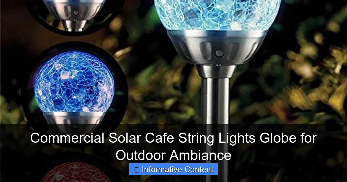 Commercial Solar Cafe String Lights Globe for Outdoor Ambiance