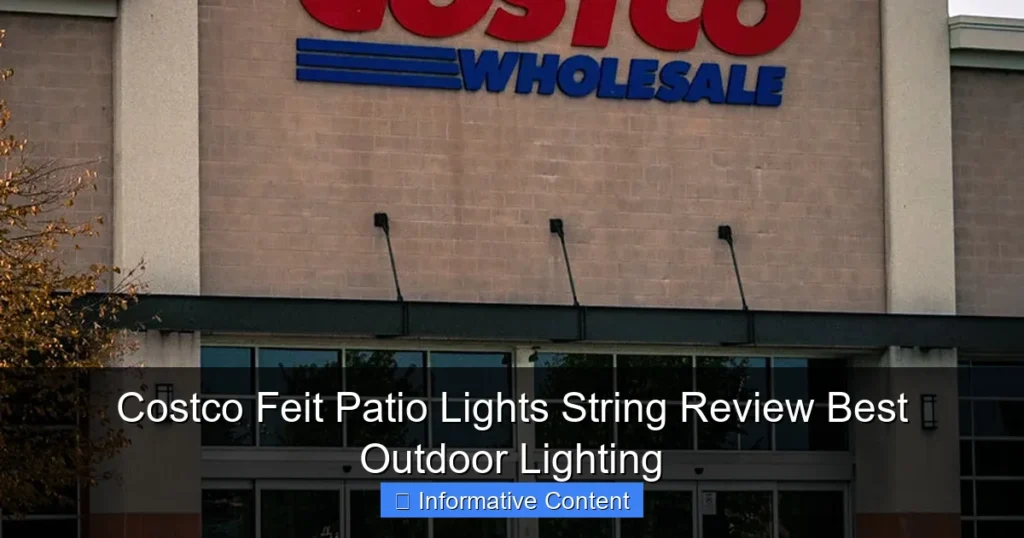 Costco Feit Patio Lights String Review Best Outdoor Lighting