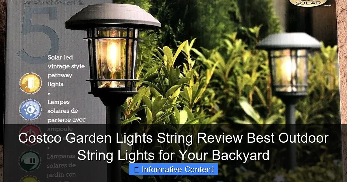 Costco Garden Lights String Review Best Outdoor String Lights for Your Backyard