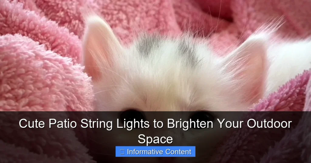 Cute Patio String Lights to Brighten Your Outdoor Space