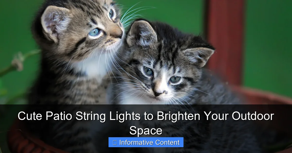 Cute Patio String Lights to Brighten Your Outdoor Space