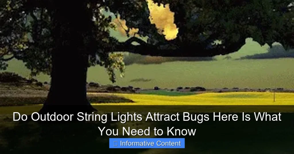 Do Outdoor String Lights Attract Bugs Here Is What You Need to Know