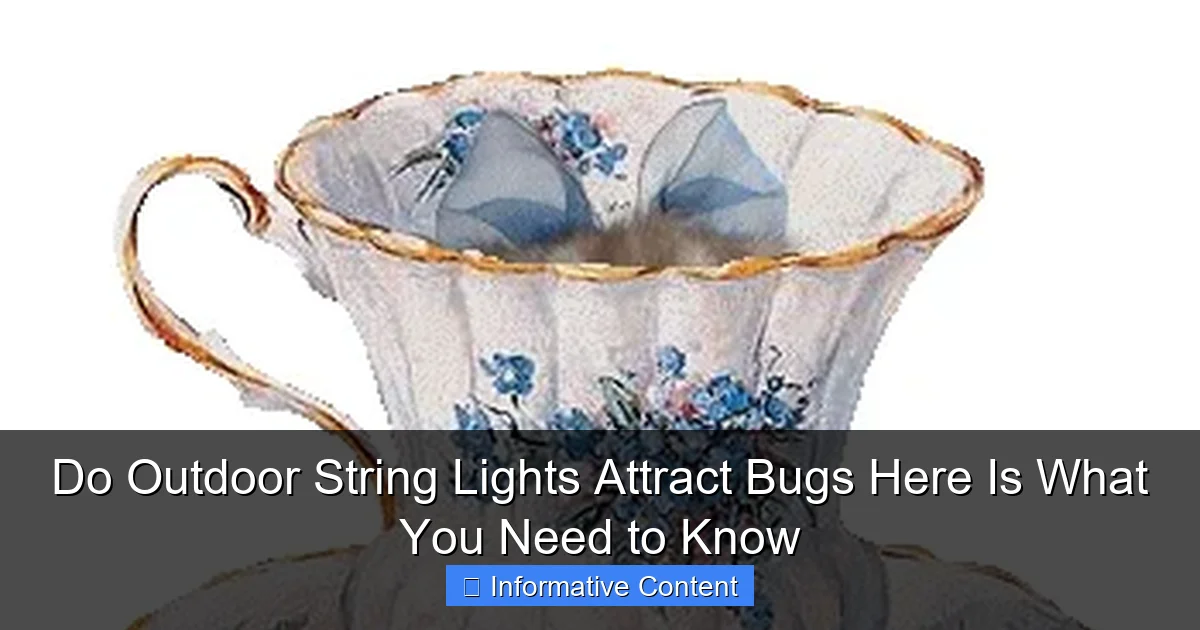 Do Outdoor String Lights Attract Bugs Here Is What You Need to Know