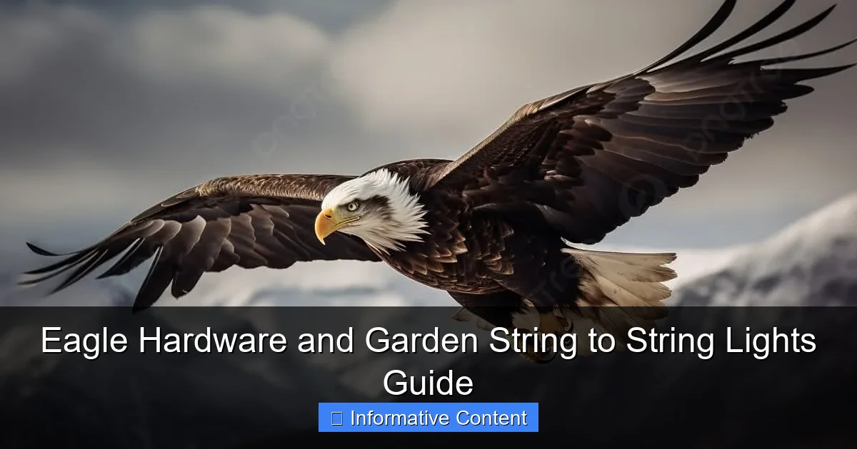 Eagle Hardware and Garden String to String Lights Guide