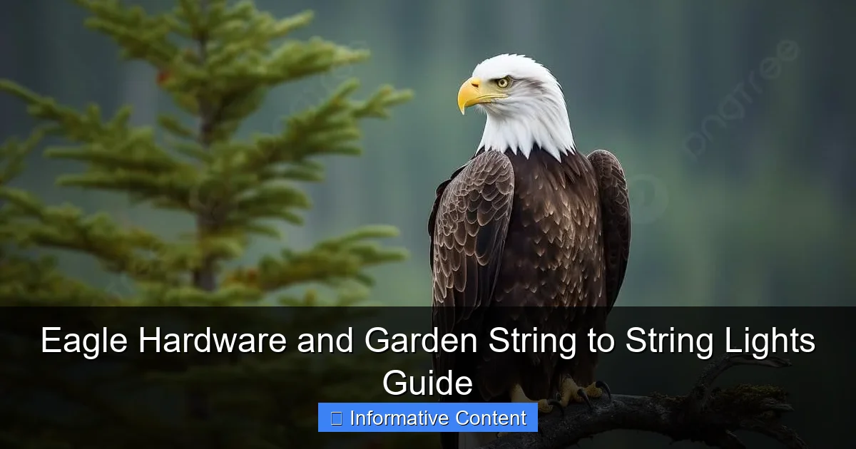 Eagle Hardware and Garden String to String Lights Guide