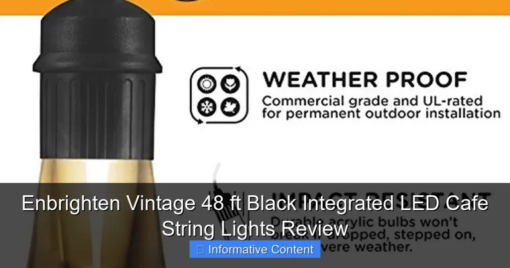 Enbrighten Vintage 48 ft Black Integrated LED Cafe String Lights Review