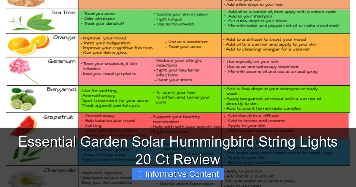Essential Garden Solar Hummingbird String Lights 20 Ct Review