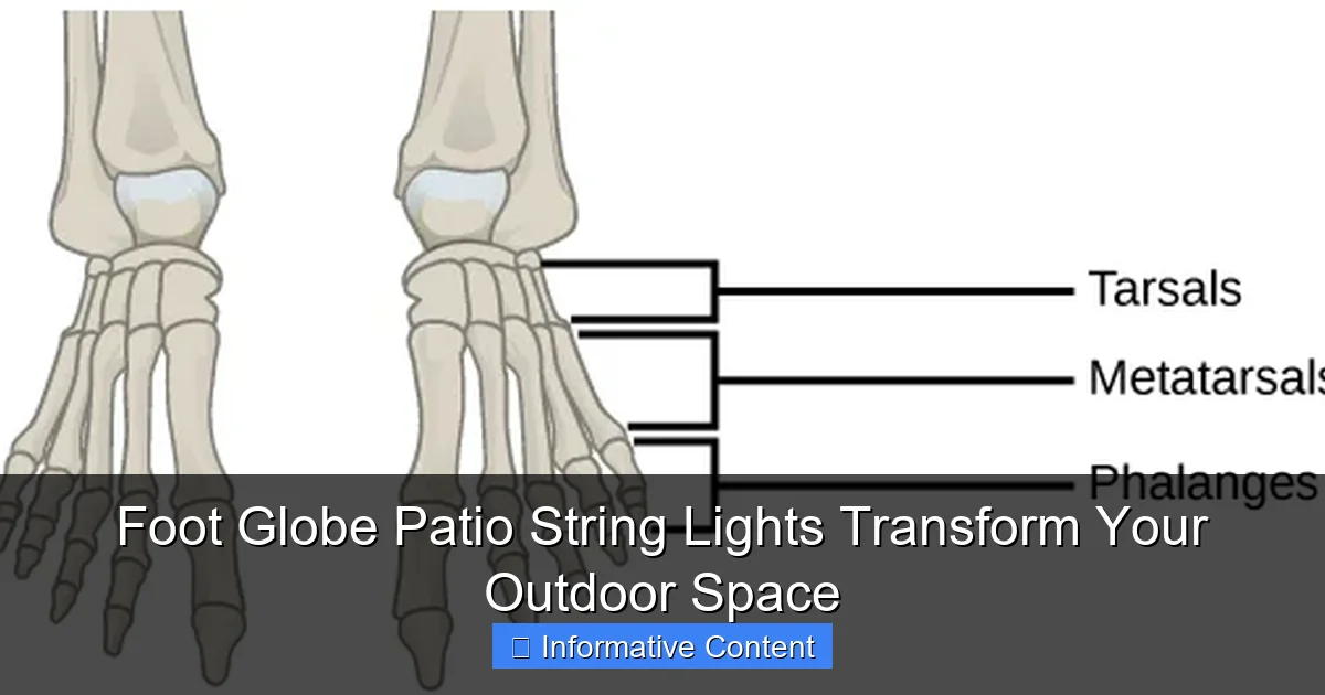 Foot Globe Patio String Lights Transform Your Outdoor Space