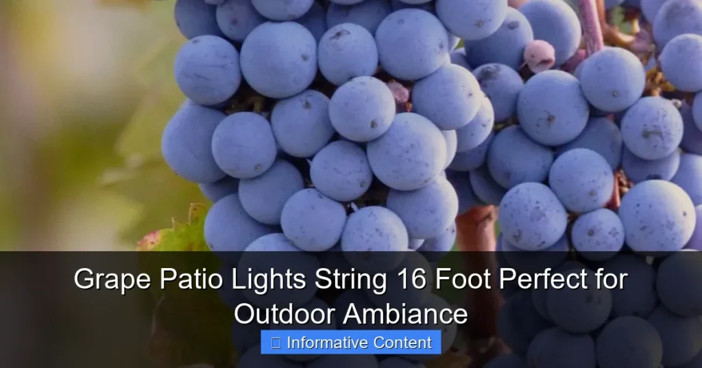Grape Patio Lights String 16 Foot Perfect for Outdoor Ambiance