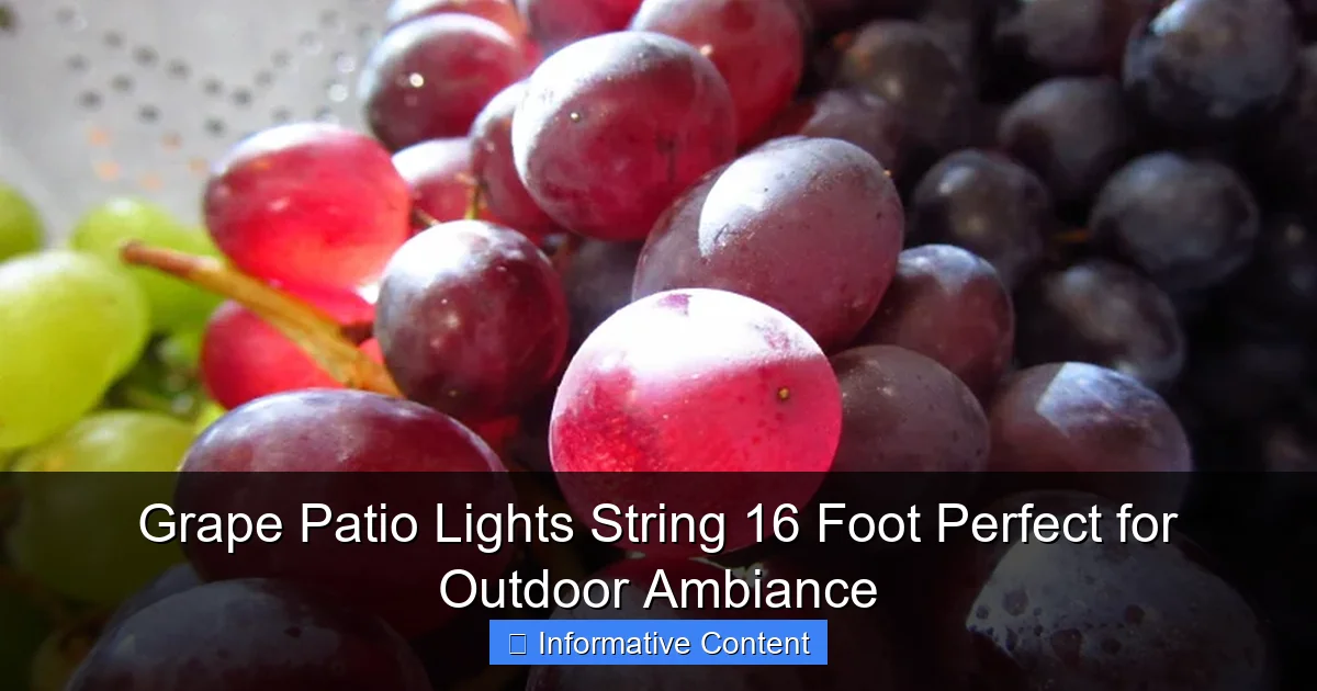 Grape Patio Lights String 16 Foot Perfect for Outdoor Ambiance