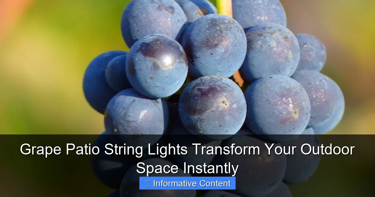 Grape Patio String Lights Transform Your Outdoor Space Instantly