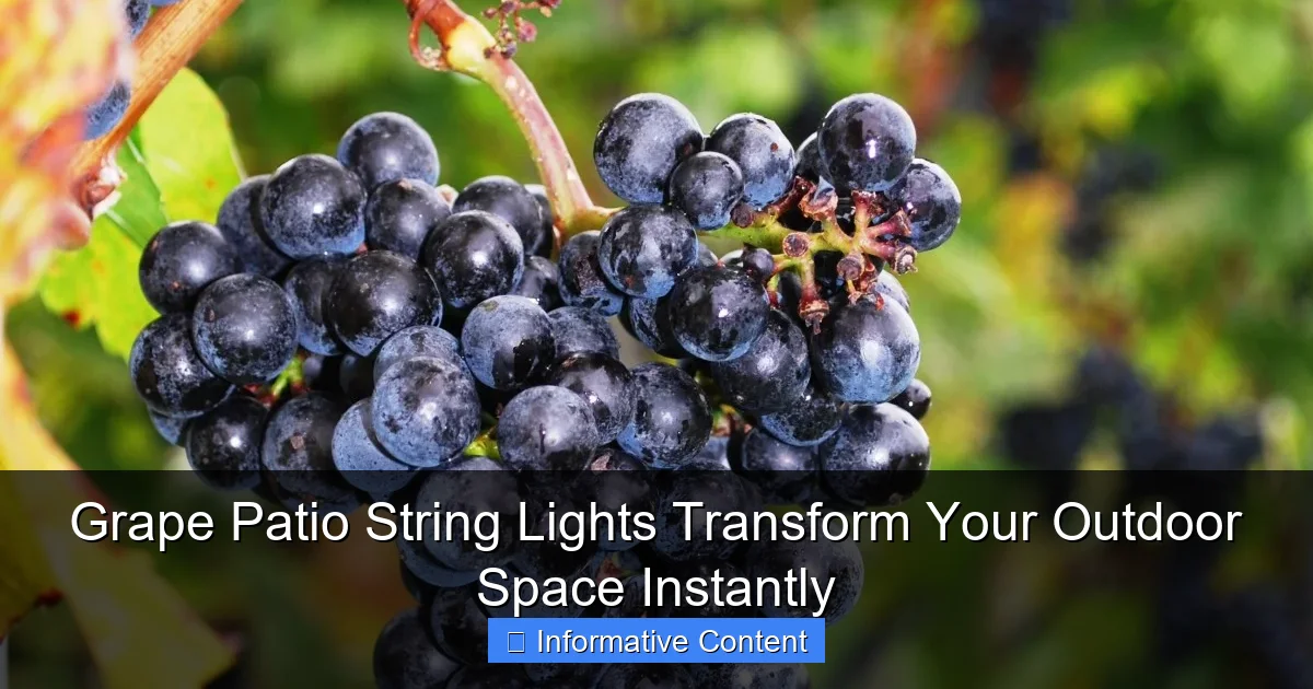 Grape Patio String Lights Transform Your Outdoor Space Instantly
