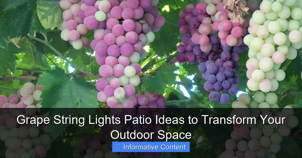 Grape String Lights Patio Ideas to Transform Your Outdoor Space