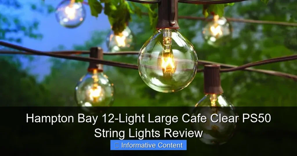 Hampton Bay 12-Light Large Cafe Clear PS50 String Lights Review