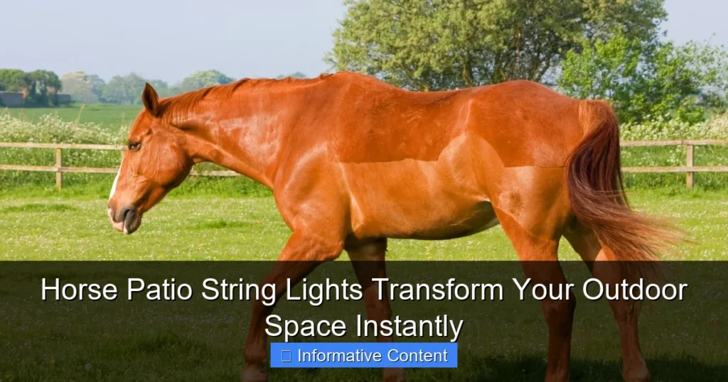 Horse Patio String Lights Transform Your Outdoor Space Instantly